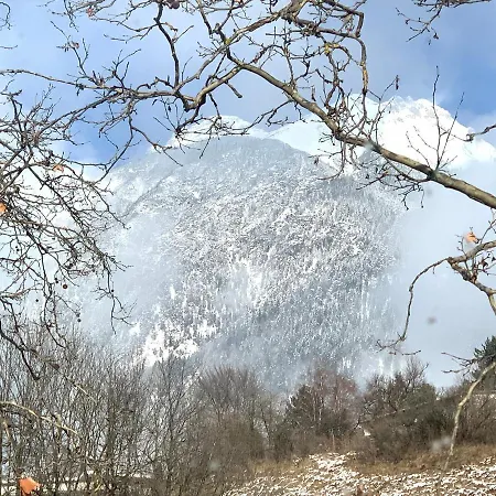 Blue Mountain *
